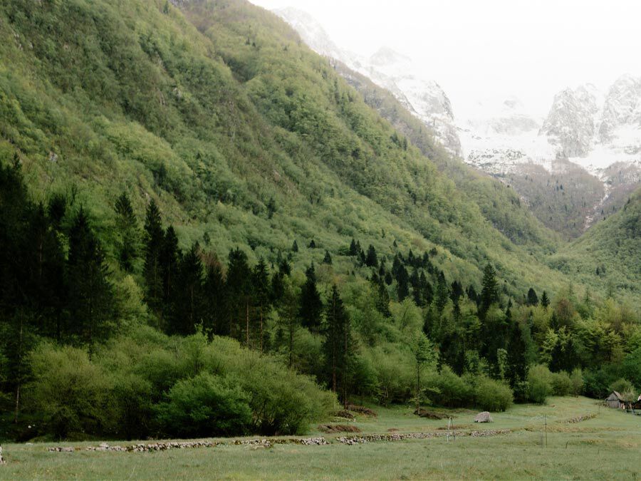 Kids Softshell jackets